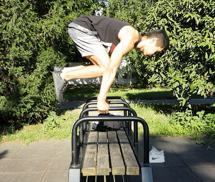 tuck planche pushup riegrovy sady.img